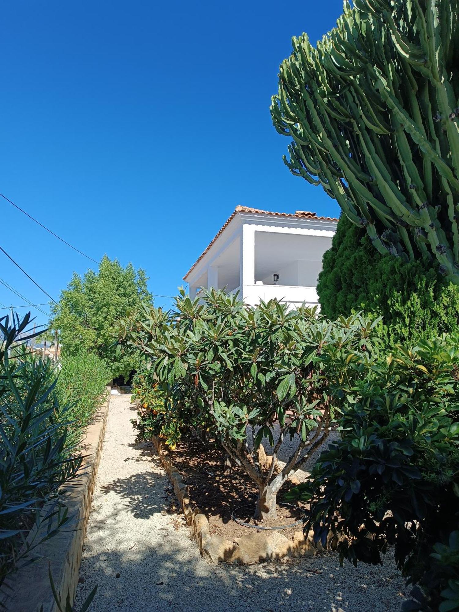 לינה וארוחת בוקר אלביר Casa La Siesta Albir מראה חיצוני תמונה